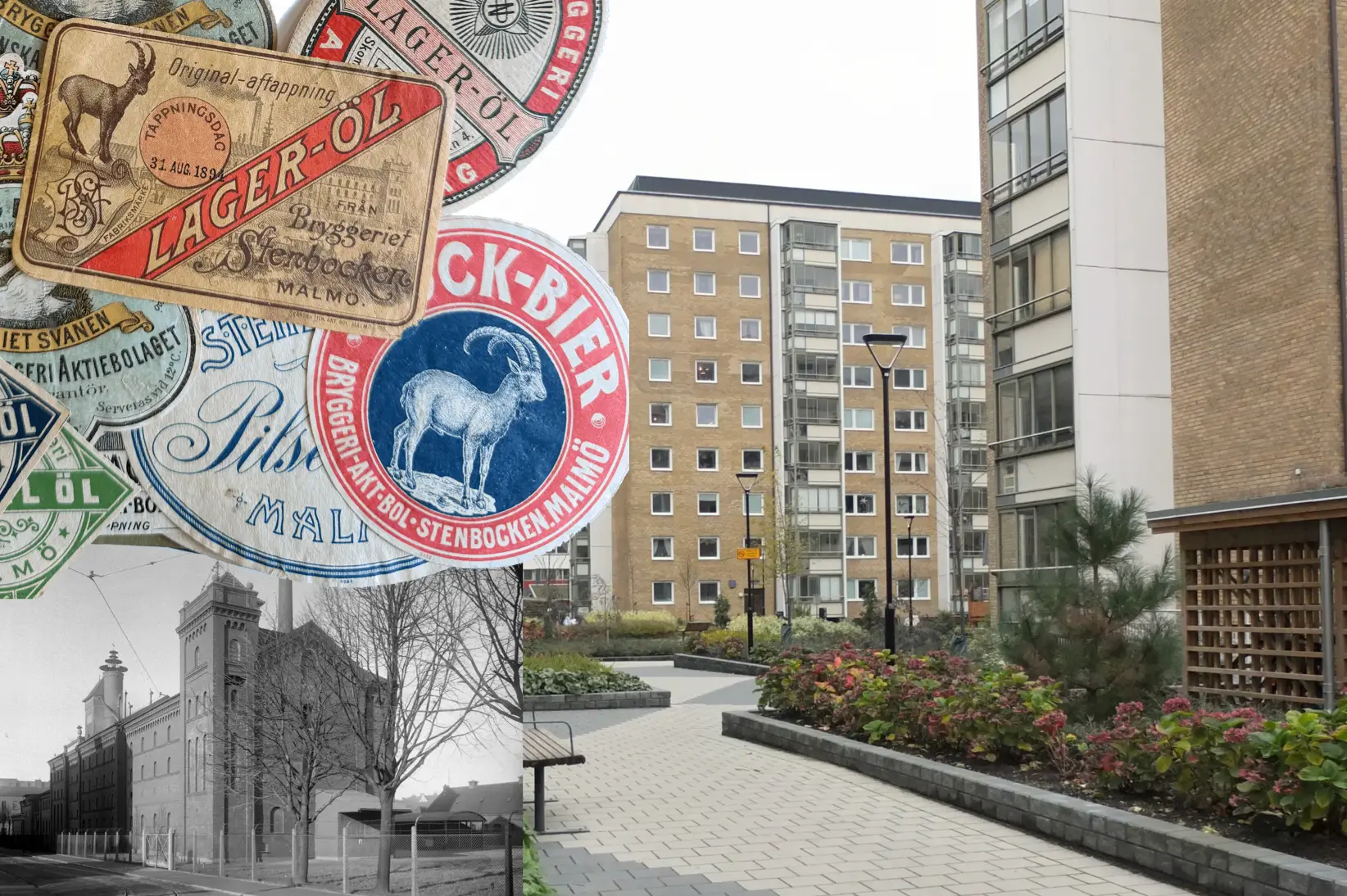 Från klasskamp till certifierat boende: Historien om Bryggeri Stenbocken och HSB Stenbocken i Malmö